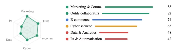 audit competences digitales résultats